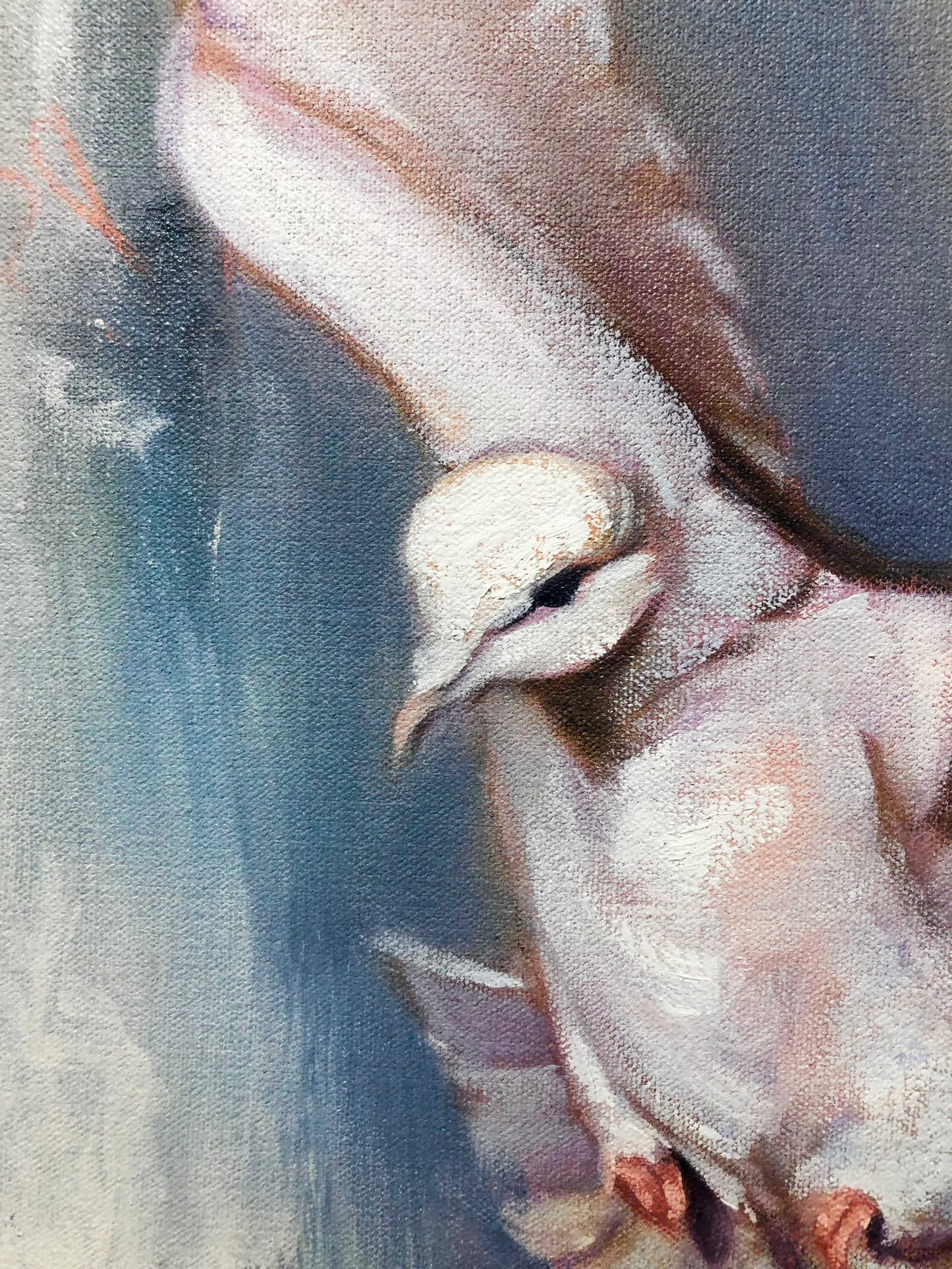 Unicus